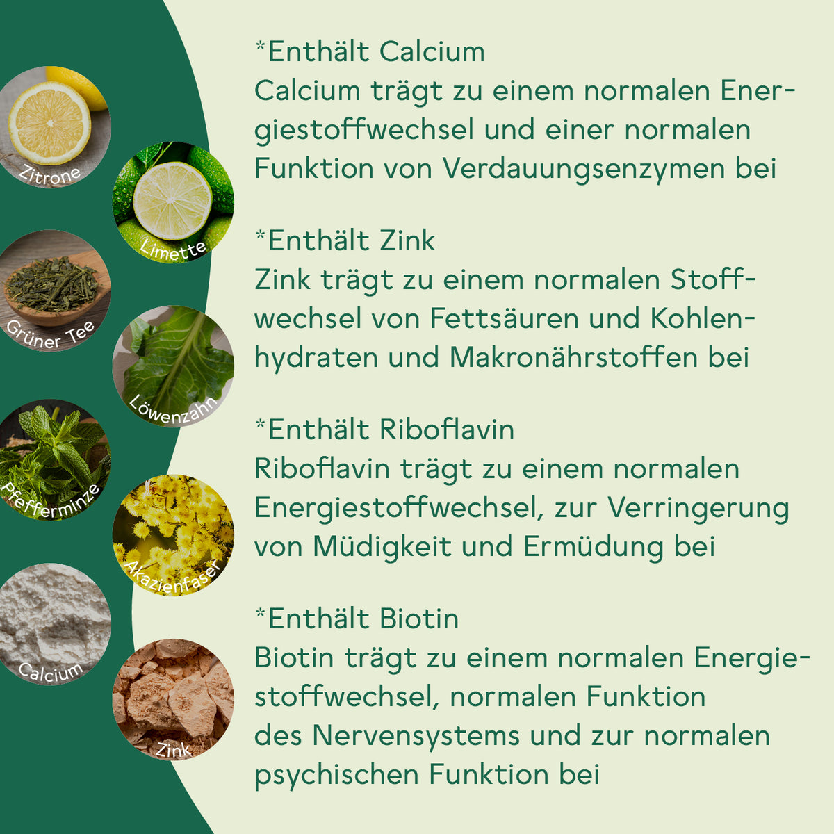 Ballaststoff Komplex Zitrone-Limette 3er Set