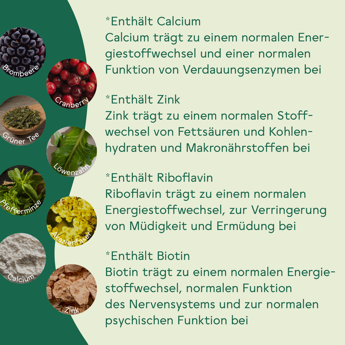 Ballaststoff Komplex Brombeere-Cranberry 3er Set