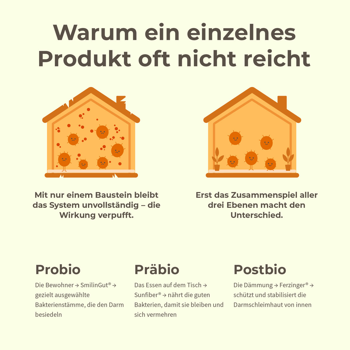 3-in-1 Darm* Komplex