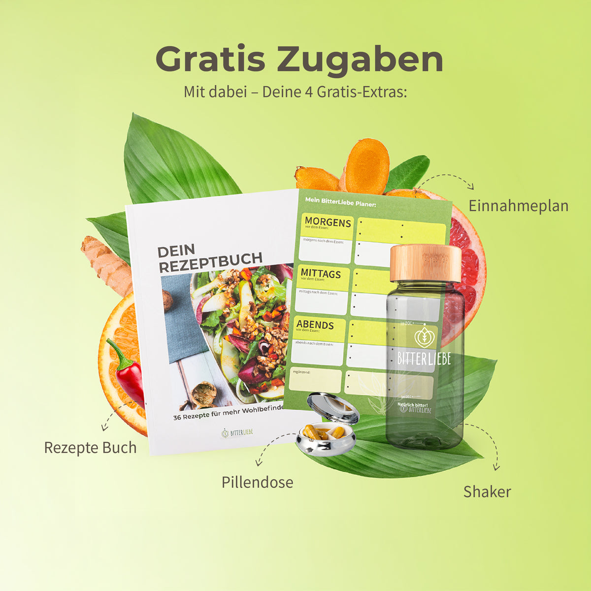 Sommer Durchstarter Paket
