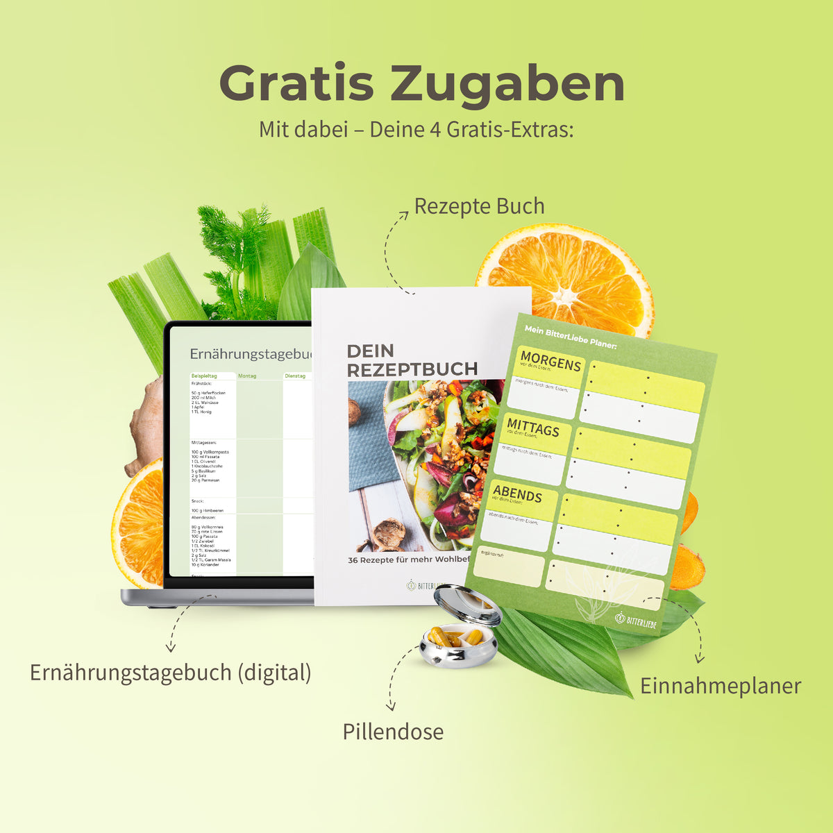 Leber Reset Paket