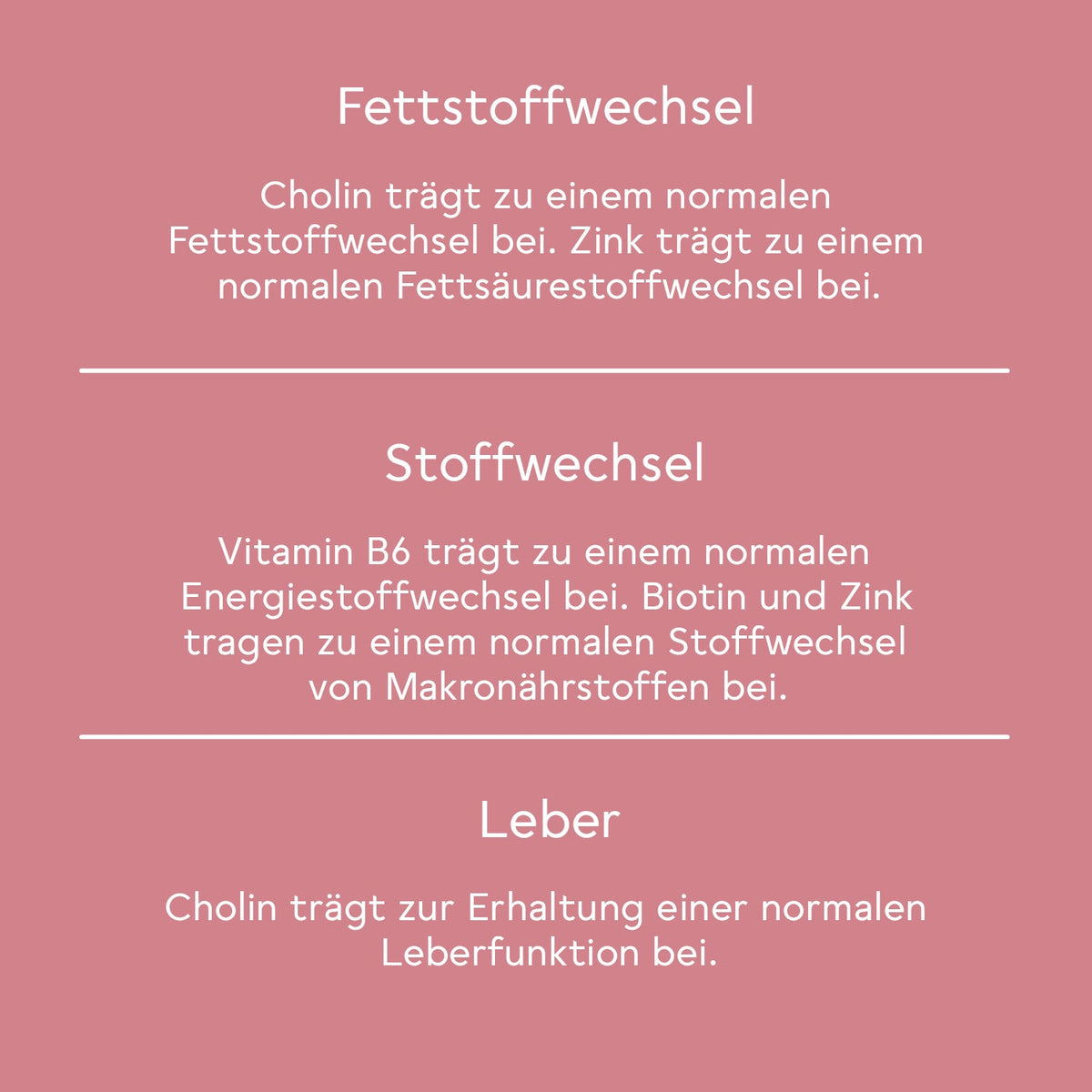BitterLiebe Fitness-Paket 63-DE
