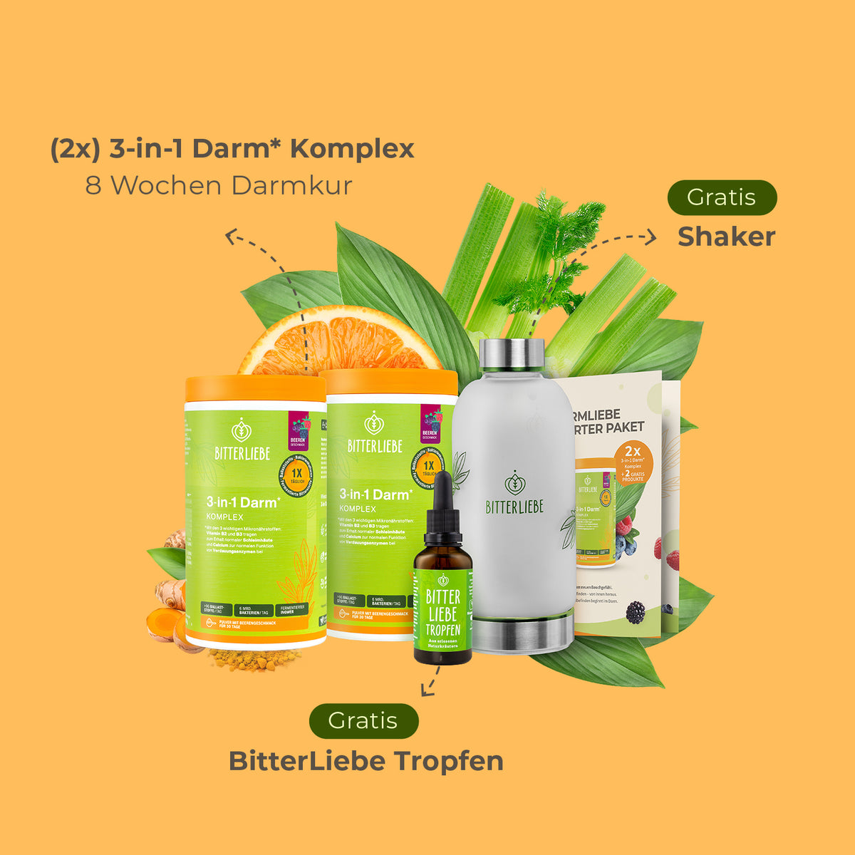DarmLiebe Starter-Paket