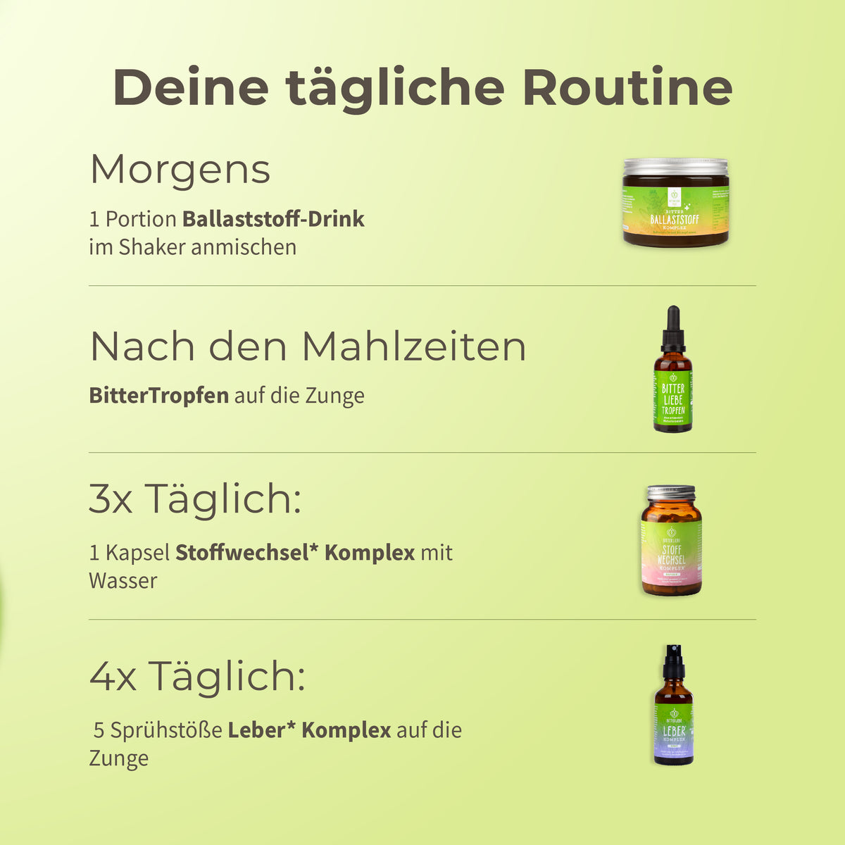 Sommer Durchstarter Paket