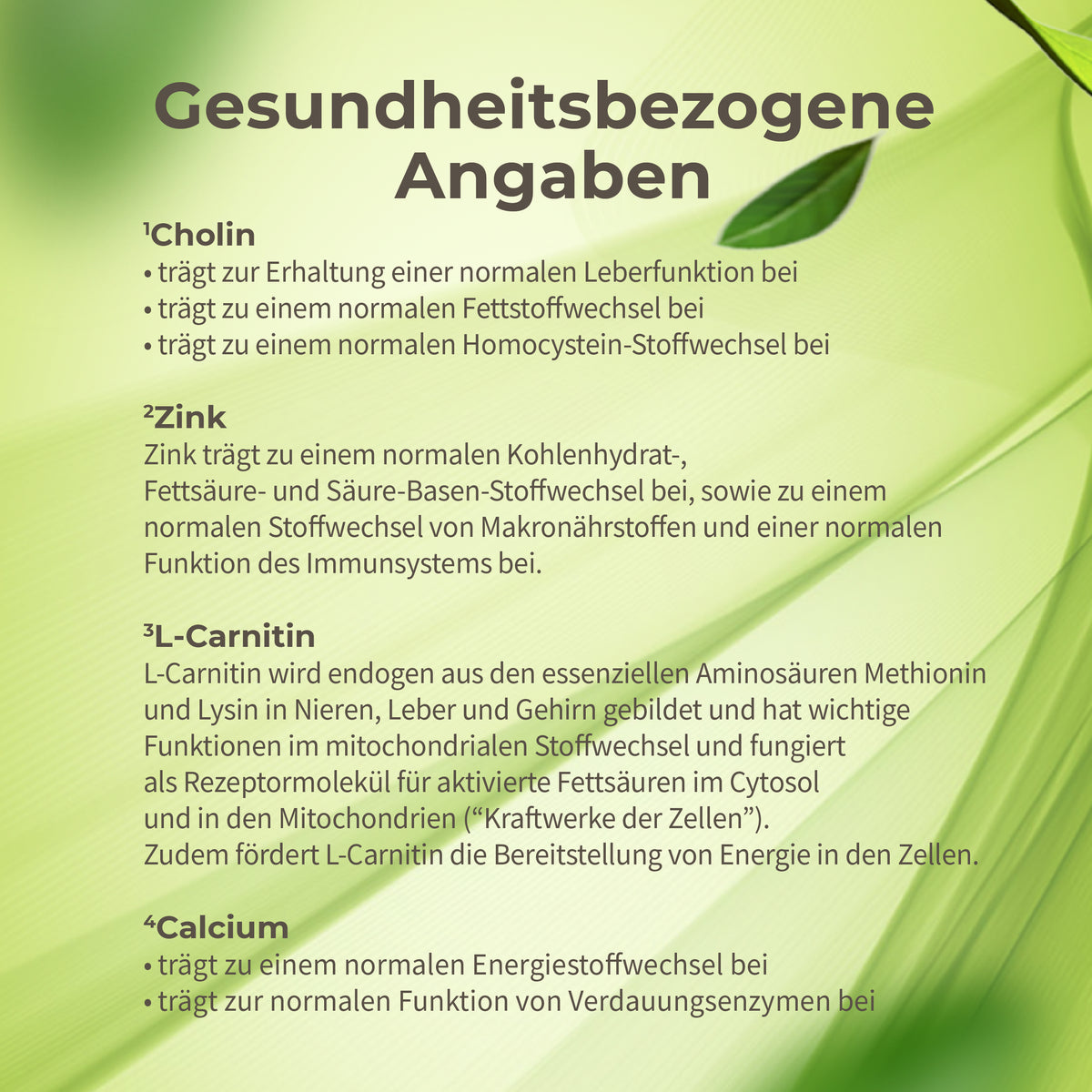 Leber Reset Paket